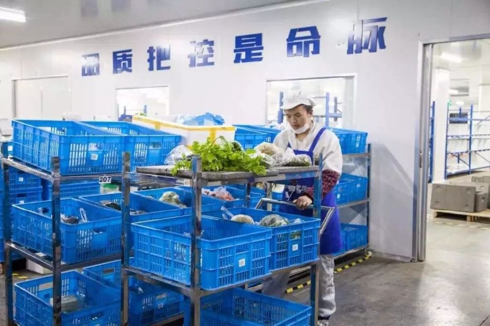 想要入行西安食材配送行業？這篇文章將告訴你如何快速入門！